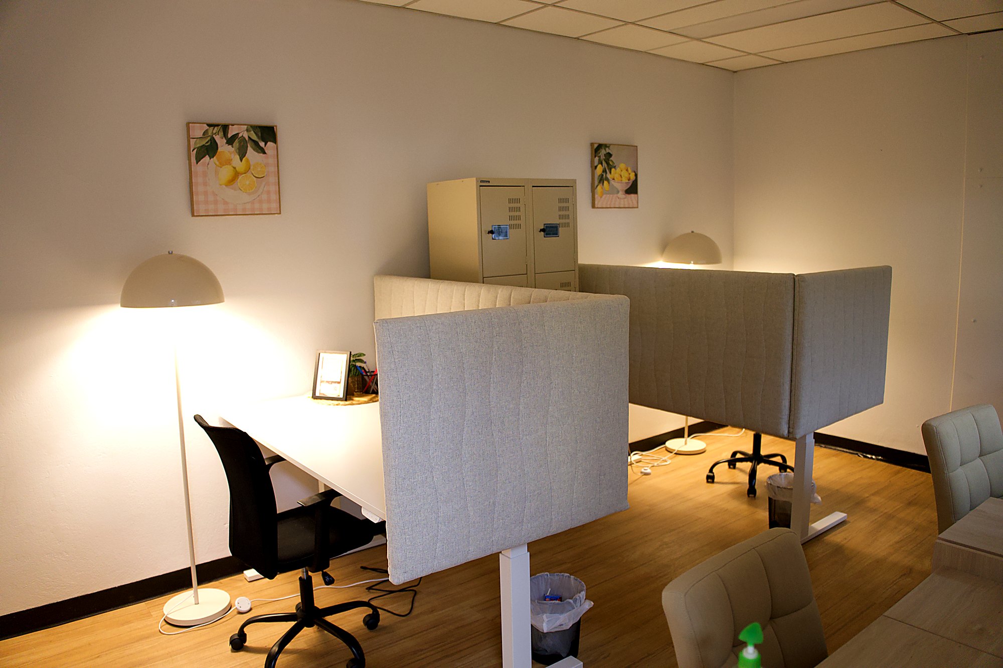 Co-working desks with privacy dividers and lockers at The Learning Nest Co.