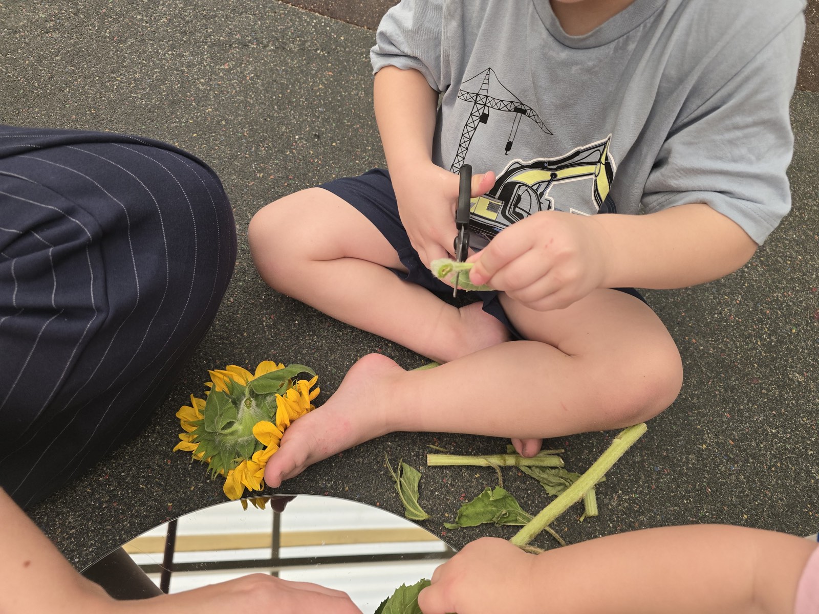 The Learning Nest Co. — What is inside a flower